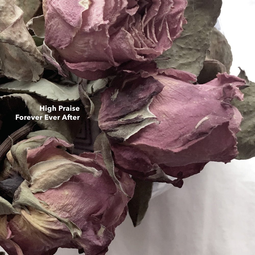 SFR018 - Steadfast Records