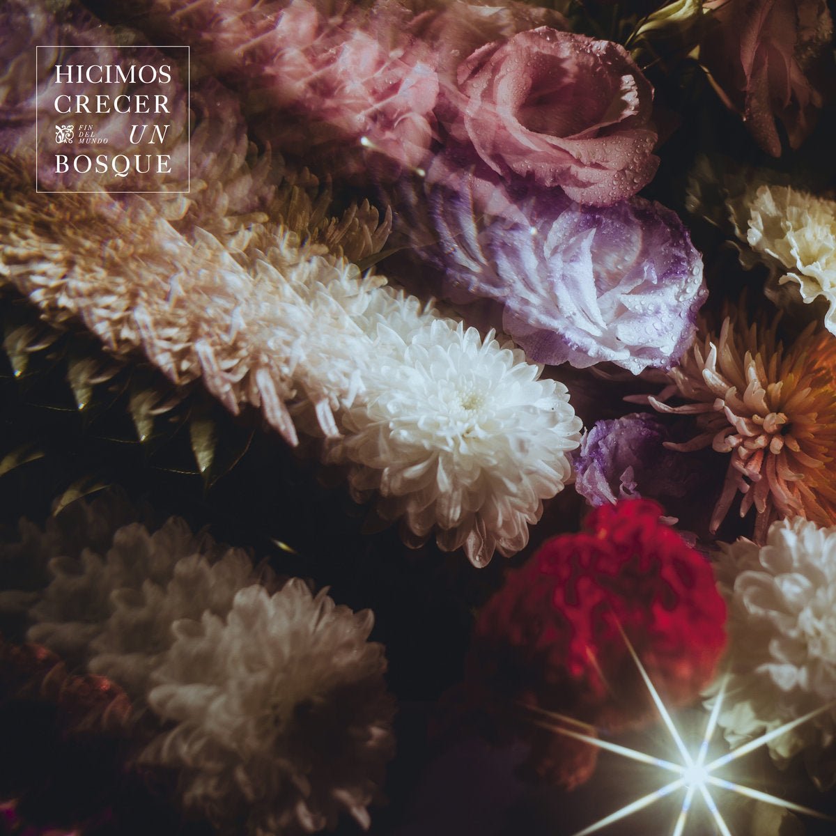 Fin Del Mundo - Hicimos crecer un bosque: Clear Lavender Vinyl LP (Import)