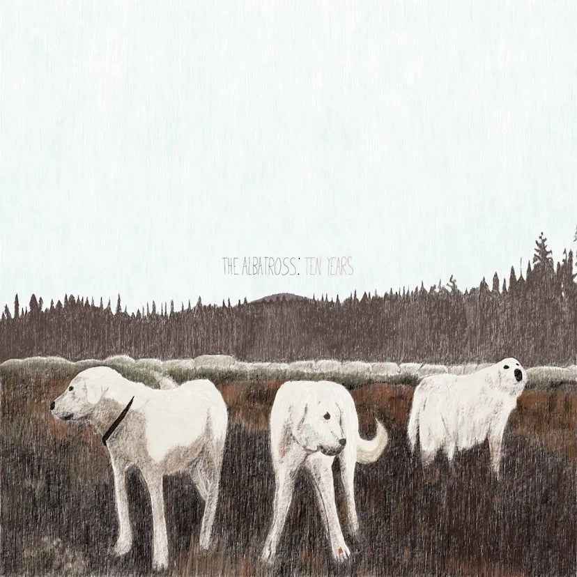 Foxing: The Albatross: Ten Years: Brown Vinyl