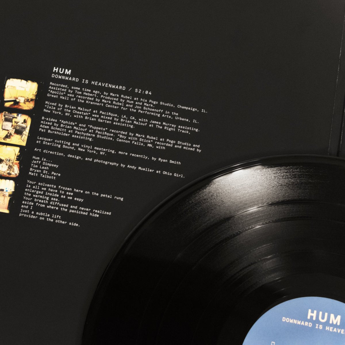 Hum: Downward is Heavenward: 2LP 180g Vinyl