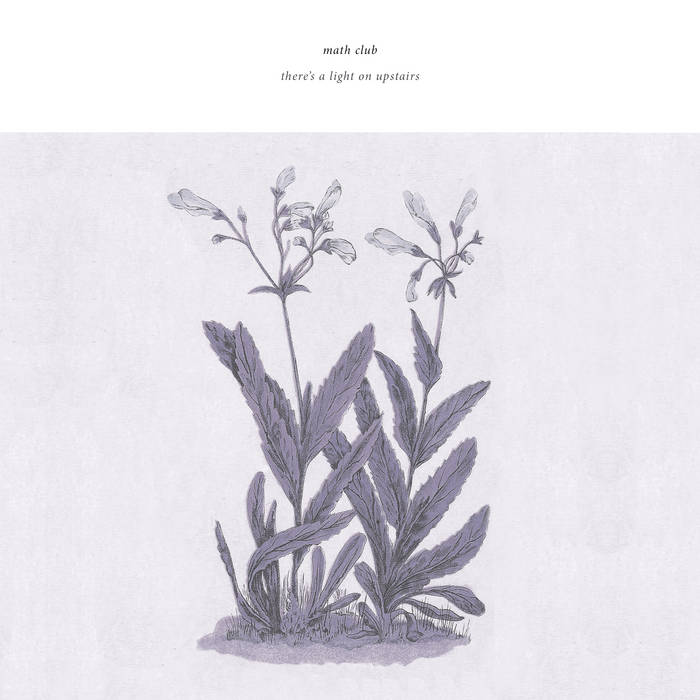 Math Club: There's a Light On Upstairs: Vinyl LP - Steadfast Records