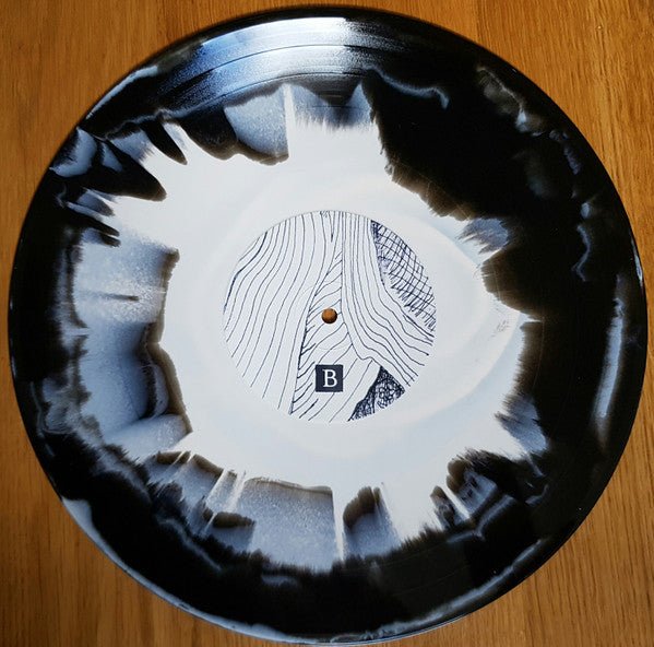 mewithoutYou: Pale Horses: Vinyl LP (Import)