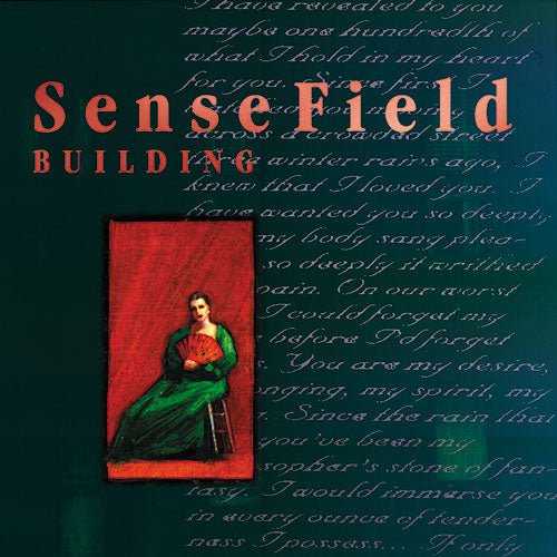 Sense Field: Building: Grey Vinyl