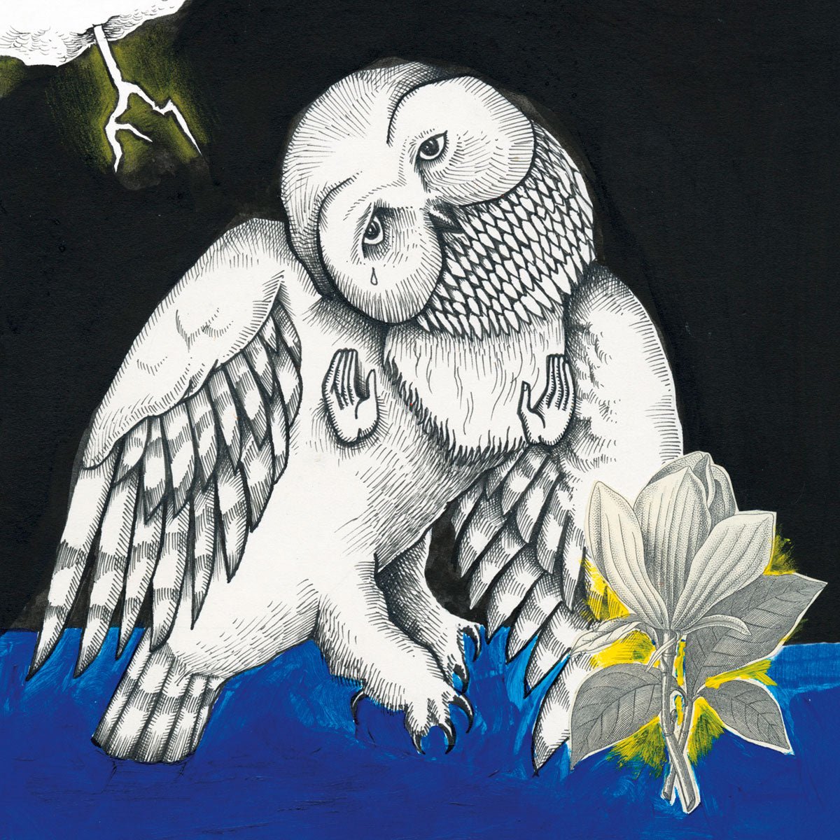 Songs: Ohia: Magnolia Electric Co.: 2LP Black Vinyl - Steadfast Records