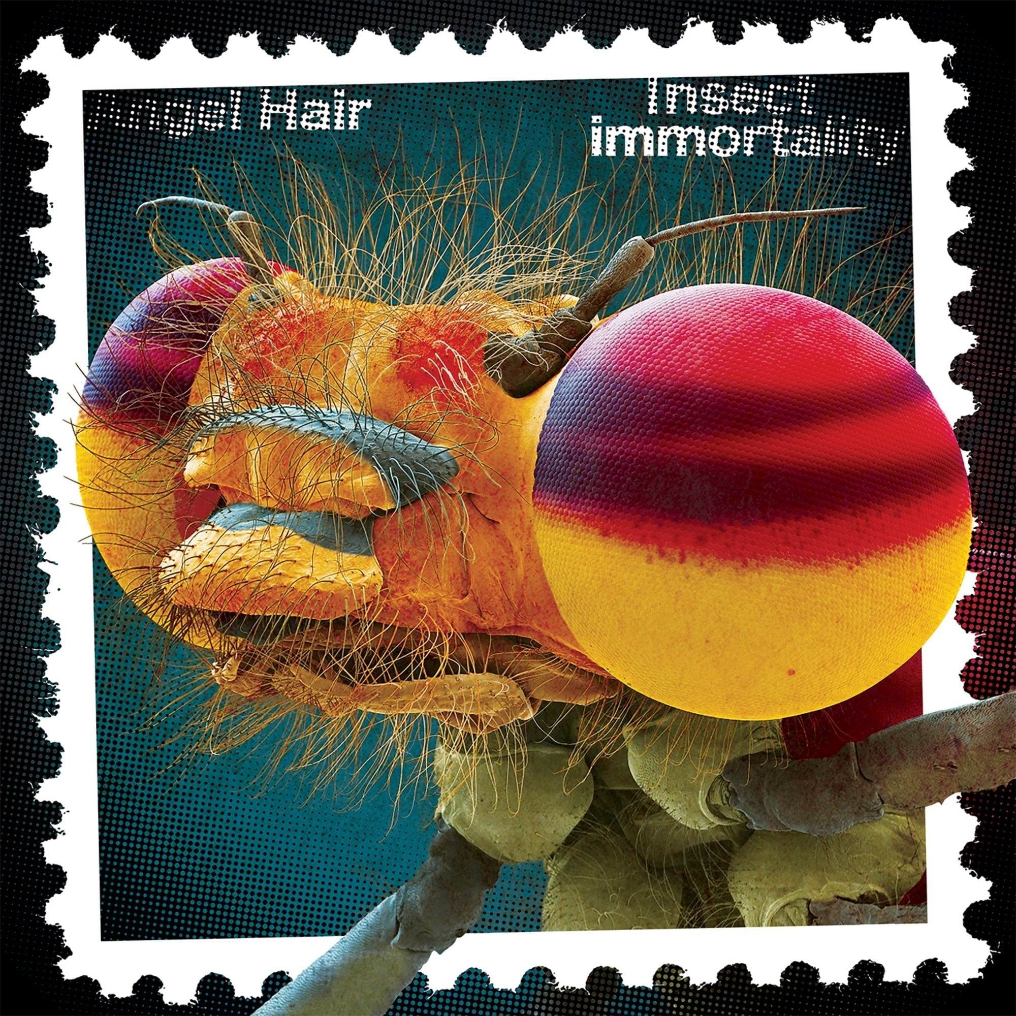Angel Hair: Insect Immortality: Half Baked Halo Vinyl - Steadfast Records