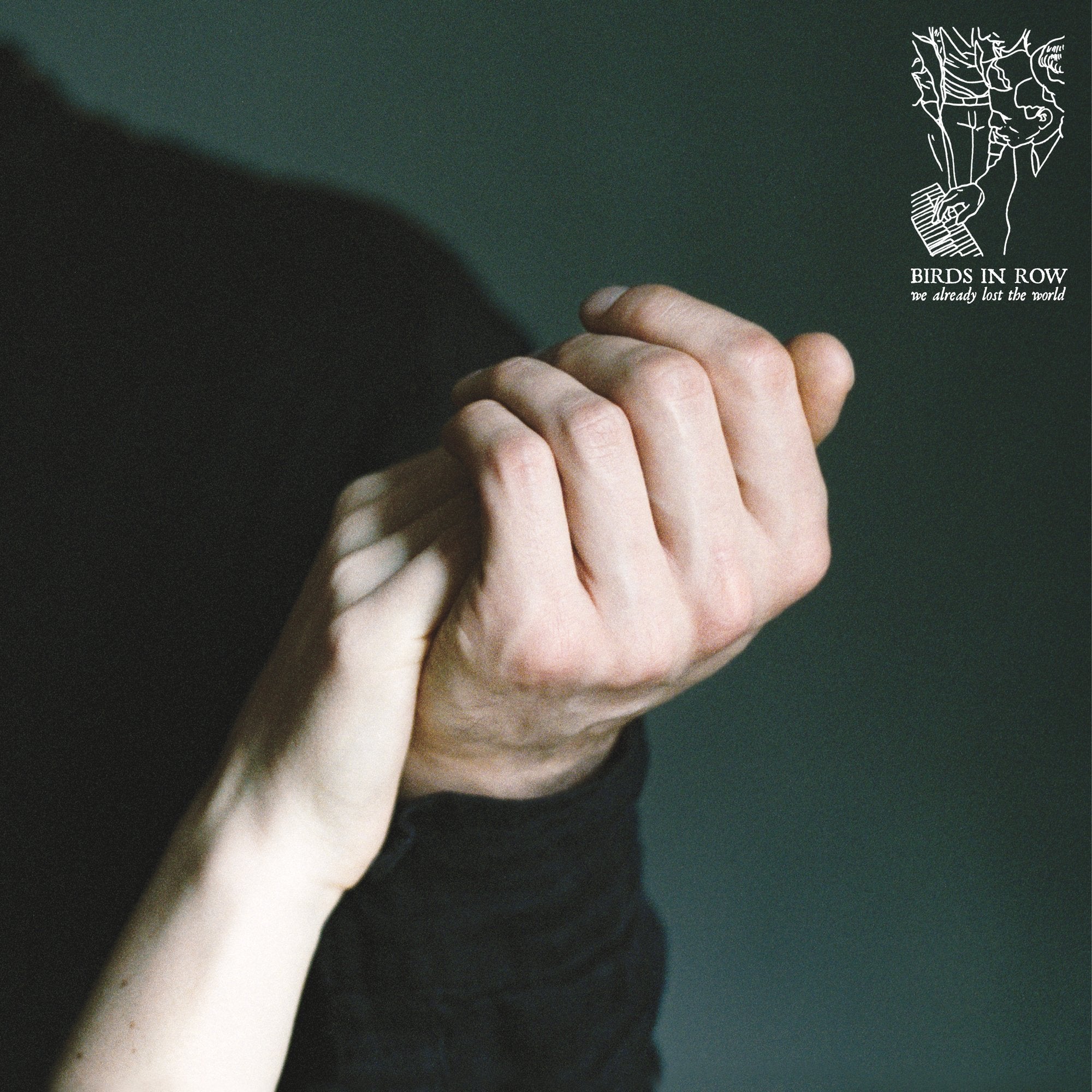Birds in Row: We Already Lost the World: Mint Vinyl - Steadfast Records