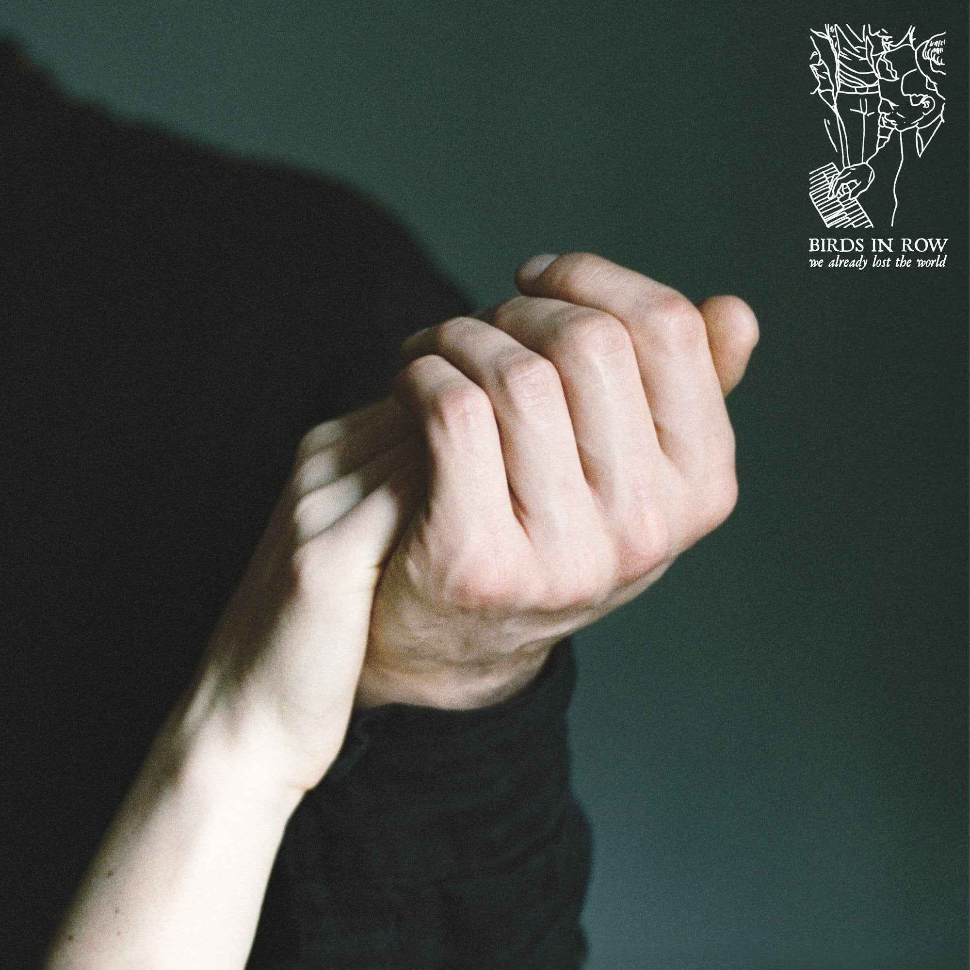 Birds in Row: We Already Lost the World: Mint Vinyl