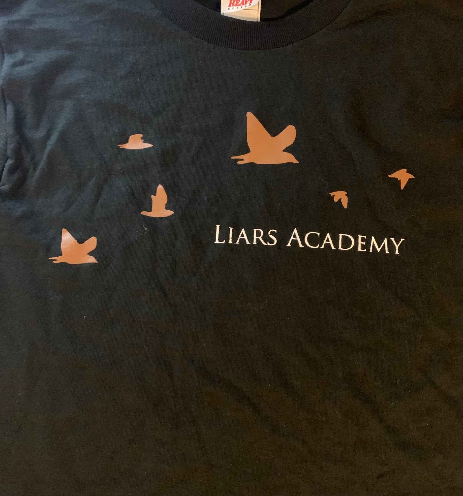 Liars Academy: Birds (Demons) T-Shirt (S only)