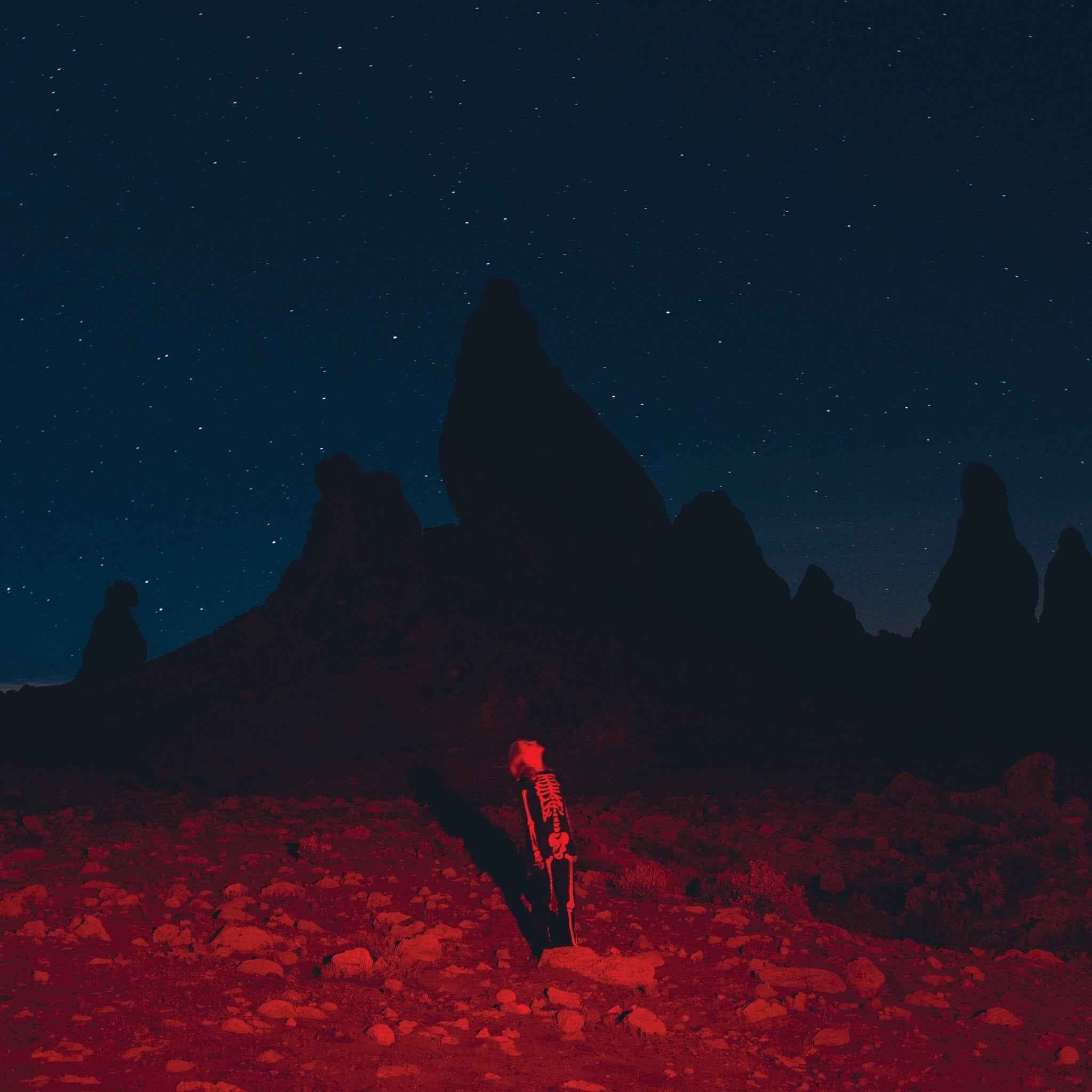 Phoebe Bridgers: Punisher LP - Black Vinyl