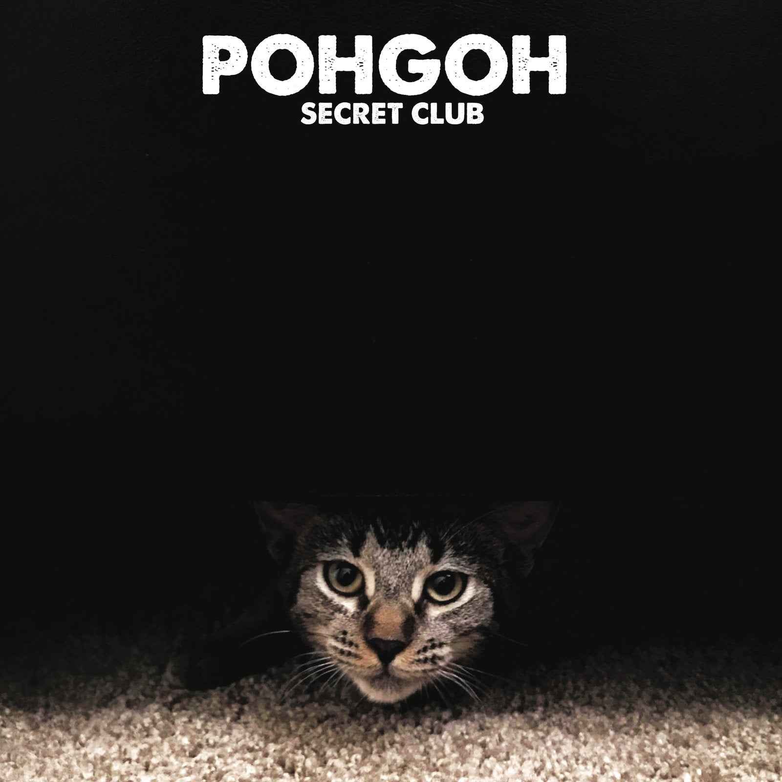 Pohgoh: Secret Club: Black Vinyl
