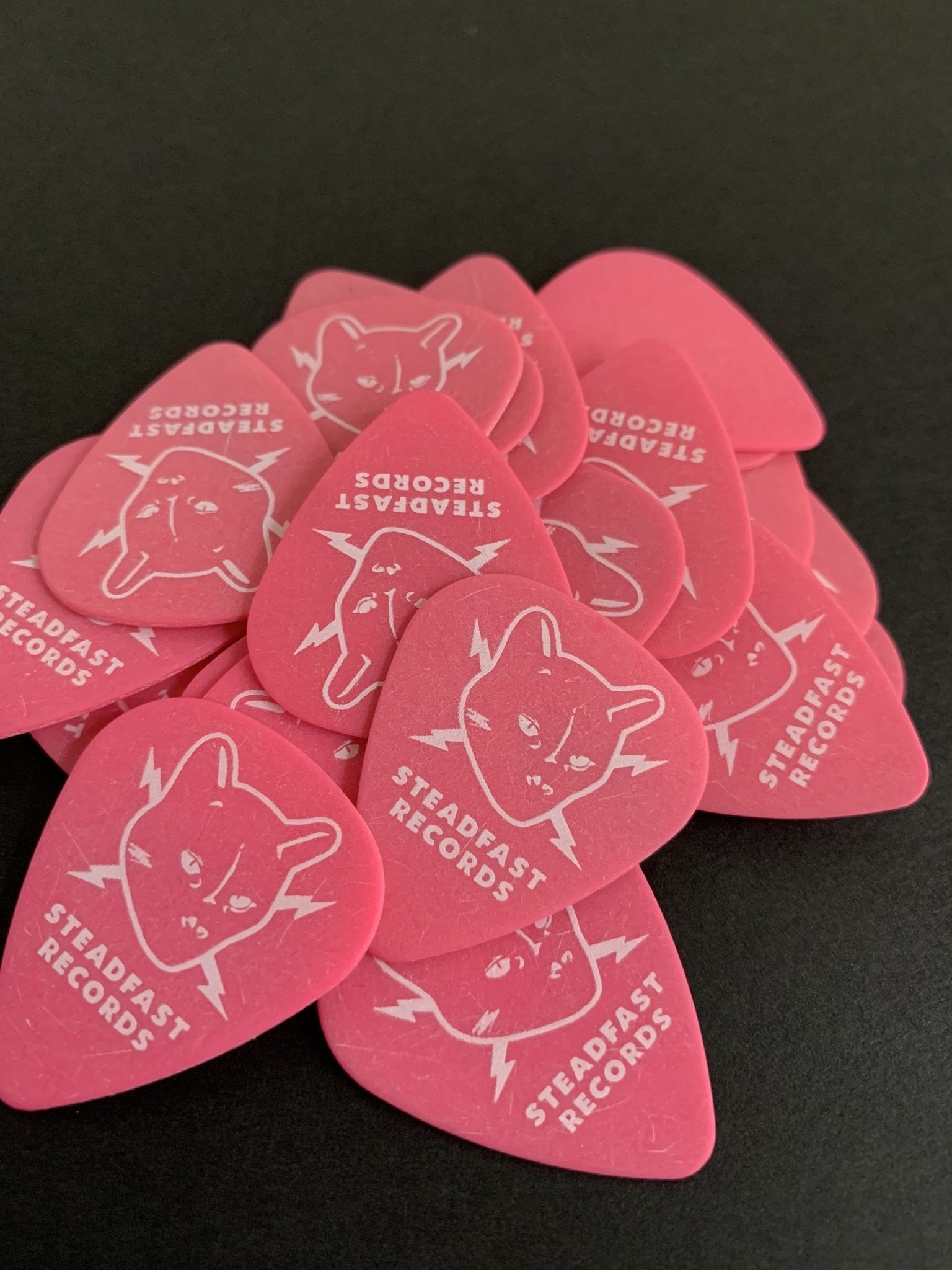 Steadfast Records Guitar Picks 4 pack - Steadfast Records