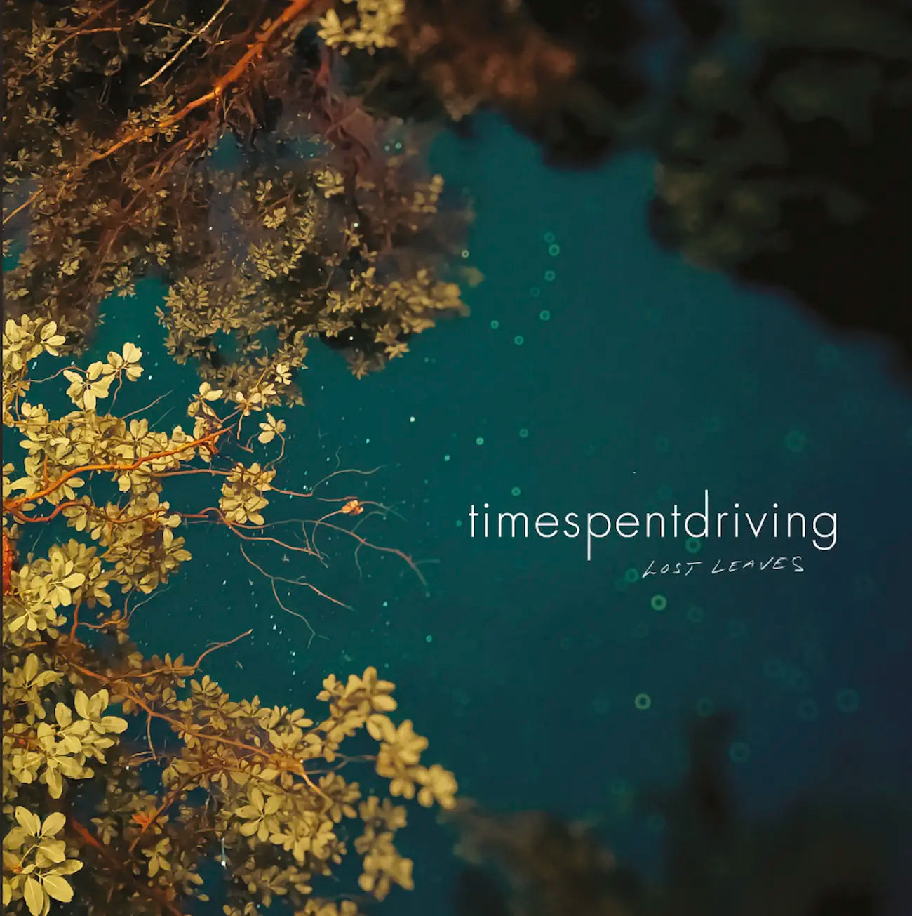 Time Spent Driving: Lost Leaves: Limited Edition Vinyl LP (Import)