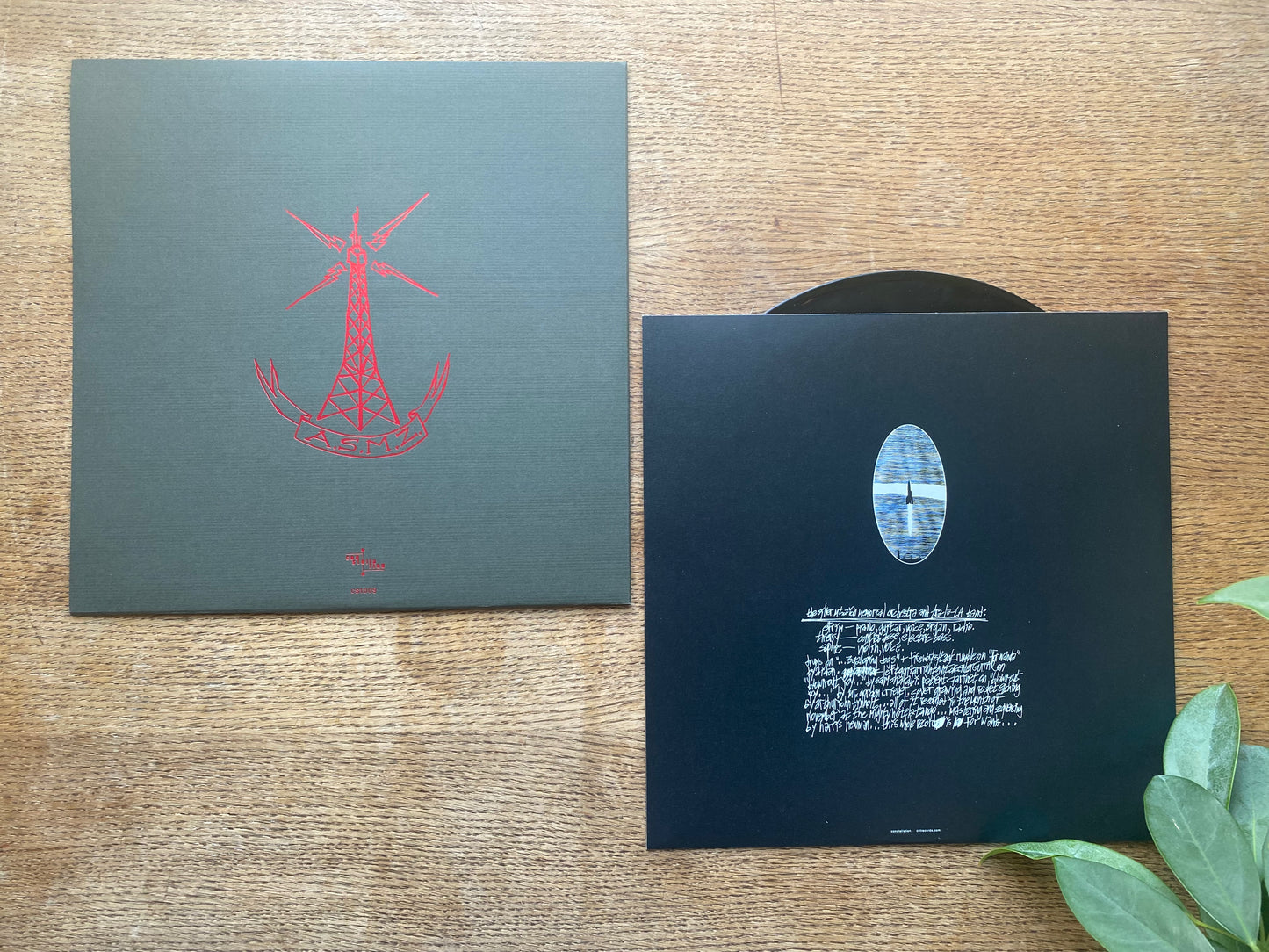 A Silver Mt. Zion: He Has Left Us Alone But Shafts Of Light Sometimes Grace The Corner Of Our Rooms...: Black Vinyl