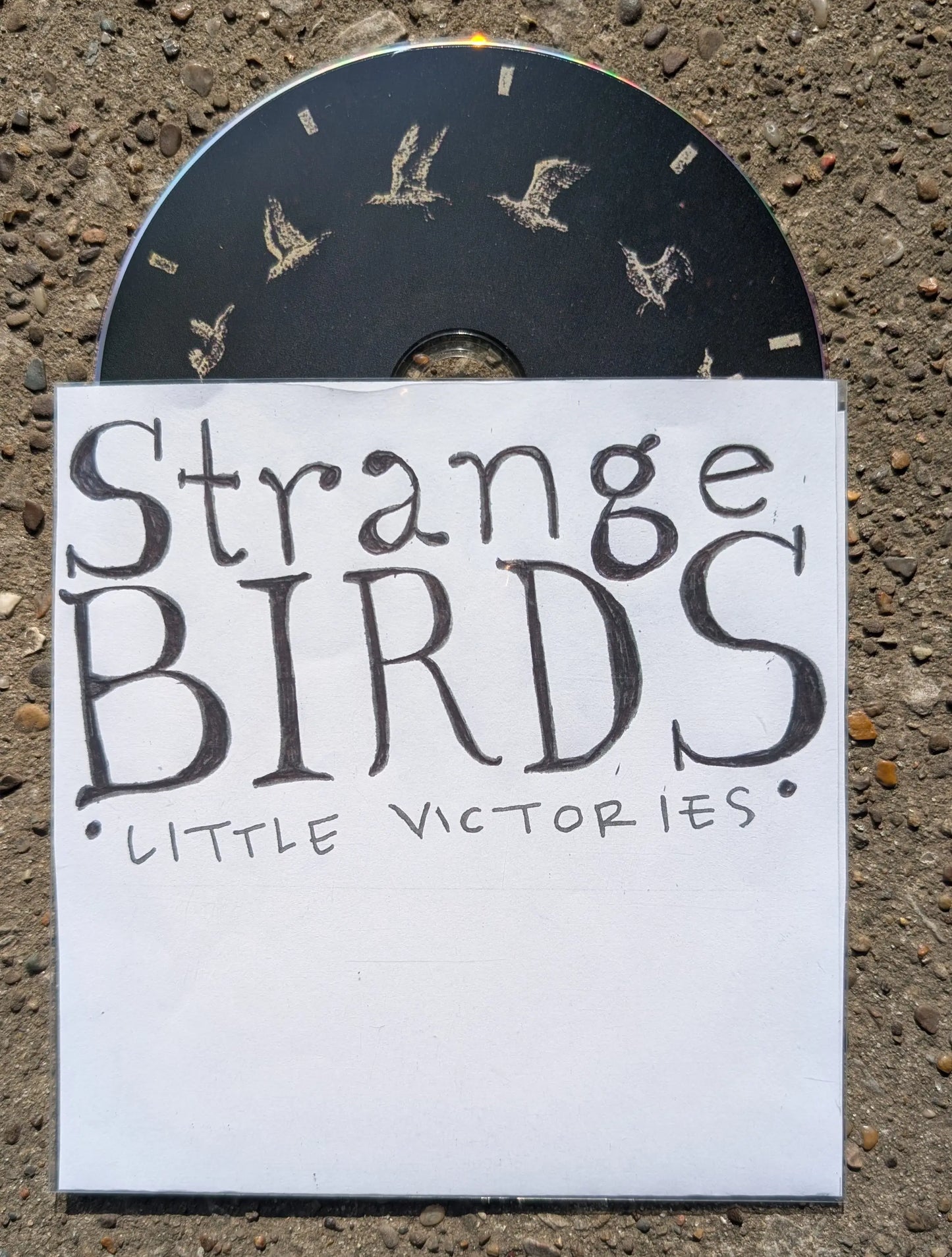 Strange Birds: Little Victories: Limited Edition CD