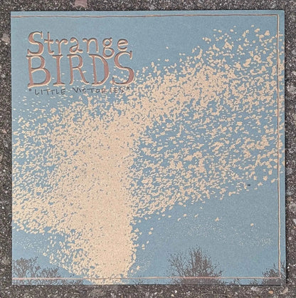 Strange Birds: Little Victories: Limited Edition Coke-Clear Vinyl LP