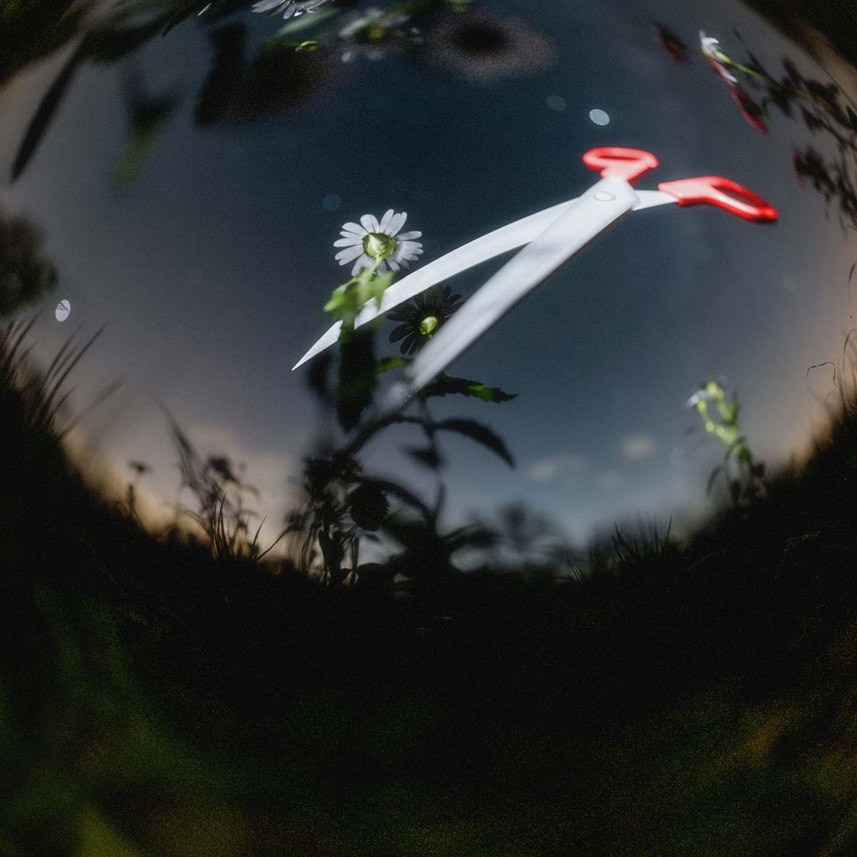 Phantom Bay: Rite Of Passage: Corona Green/White Vinyl 7" (Import)