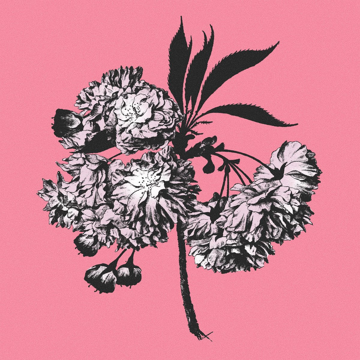 Battosai: Lágrimas y Milagros: White Marble Vinyl LP (Import)