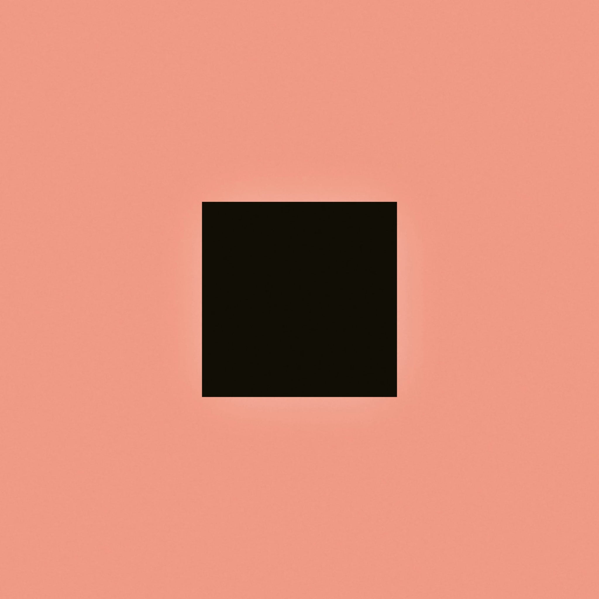 Bon Iver: SABLE fABLE: 2LP Black Vinyl - Steadfast Records