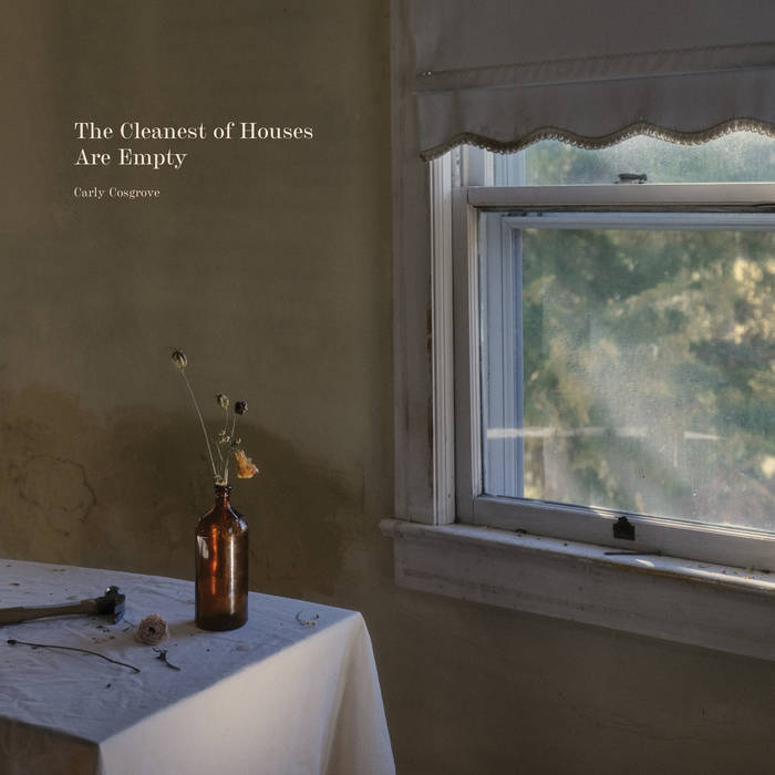 Carly Cosgrove: The Cleanest of Houses are Empty: Color Vinyl LP - Steadfast Records
