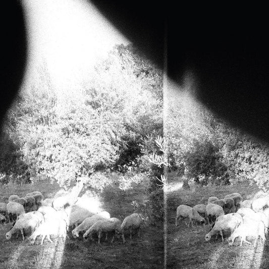 Godspeed You! Black Emperor: Asunder, Sweet And Other Distress: 180g Black Vinyl LP