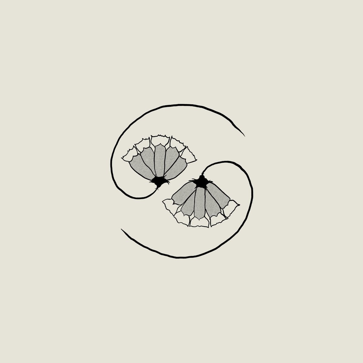 Godspeed You! Black Emperor: G_d's Pee AT STATE'S END!: 180g Black Vinyl LP + 10"