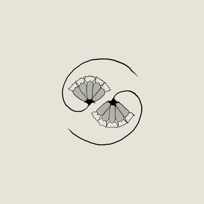 Godspeed You! Black Emperor: G_d's Pee AT STATE'S END!: 180g Black Vinyl LP + 10"