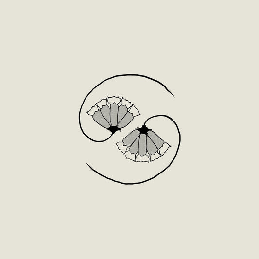 Godspeed You! Black Emperor: G_d's Pee AT STATE'S END!: 180g Black Vinyl LP + 10"