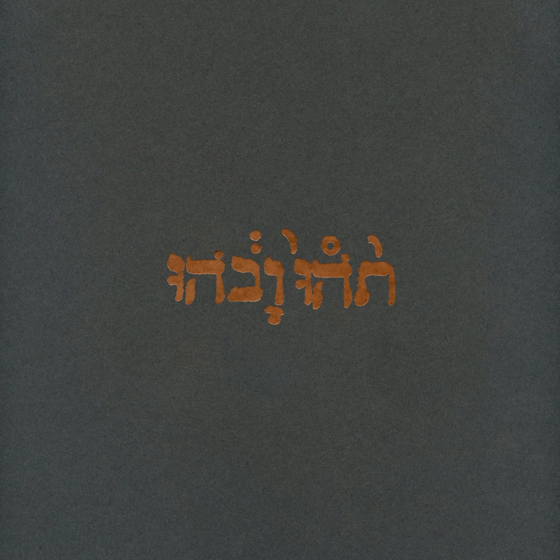 Godspeed You! Black Emperor: Slow Riot For New Zero Kanada: 180g Black Vinyl