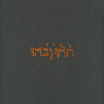 Godspeed You! Black Emperor: Slow Riot For New Zero Kanada: 180g Black Vinyl