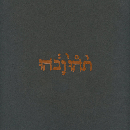Godspeed You! Black Emperor: Slow Riot For New Zero Kanada: 180g Black Vinyl