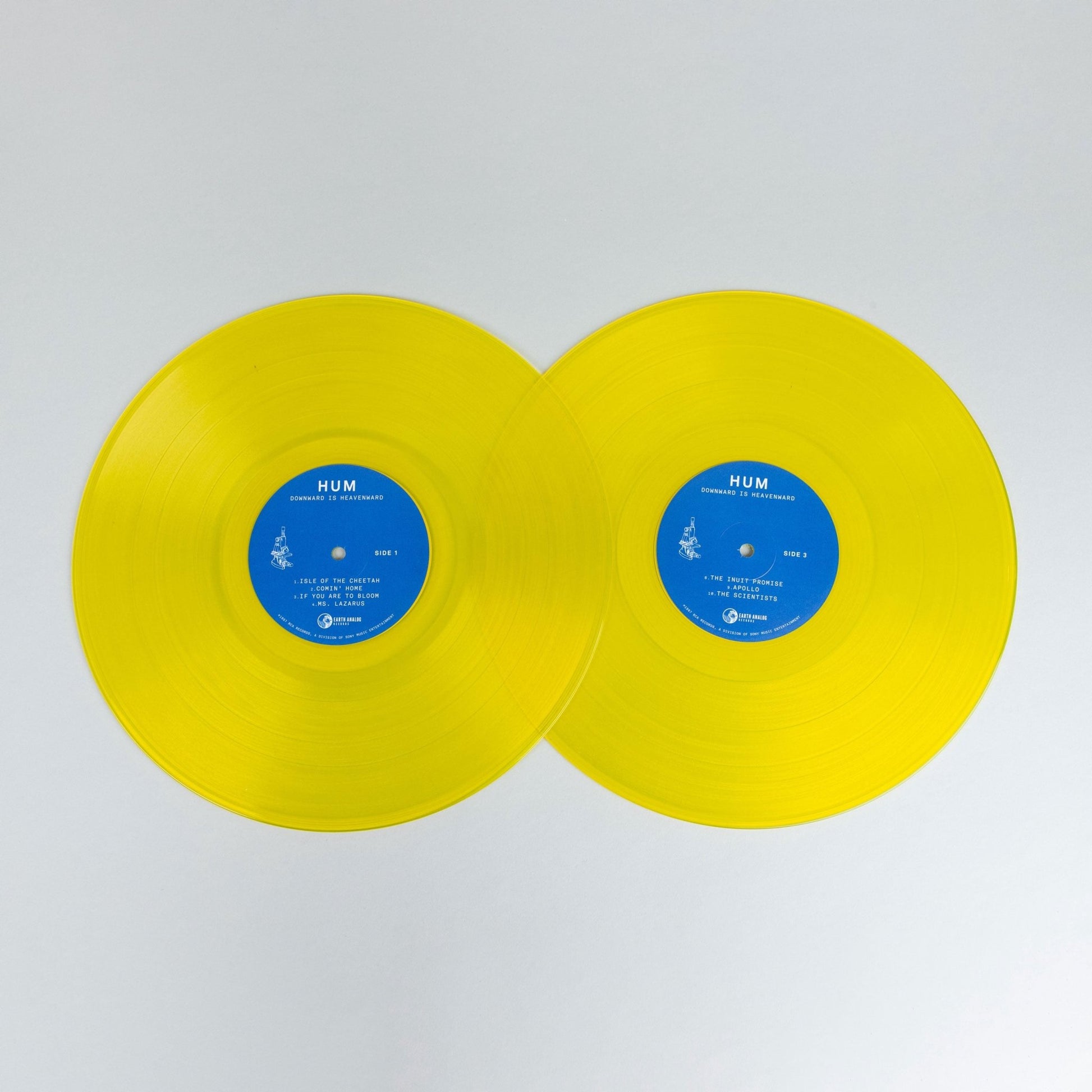 Hum: Downward is Heavenward: 2LP 180g Vinyl