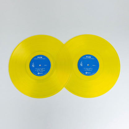 Hum: Downward is Heavenward: 2LP 180g Vinyl