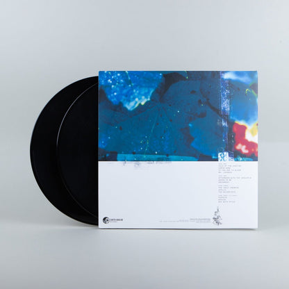 Hum: Downward is Heavenward: 2LP 180g Vinyl