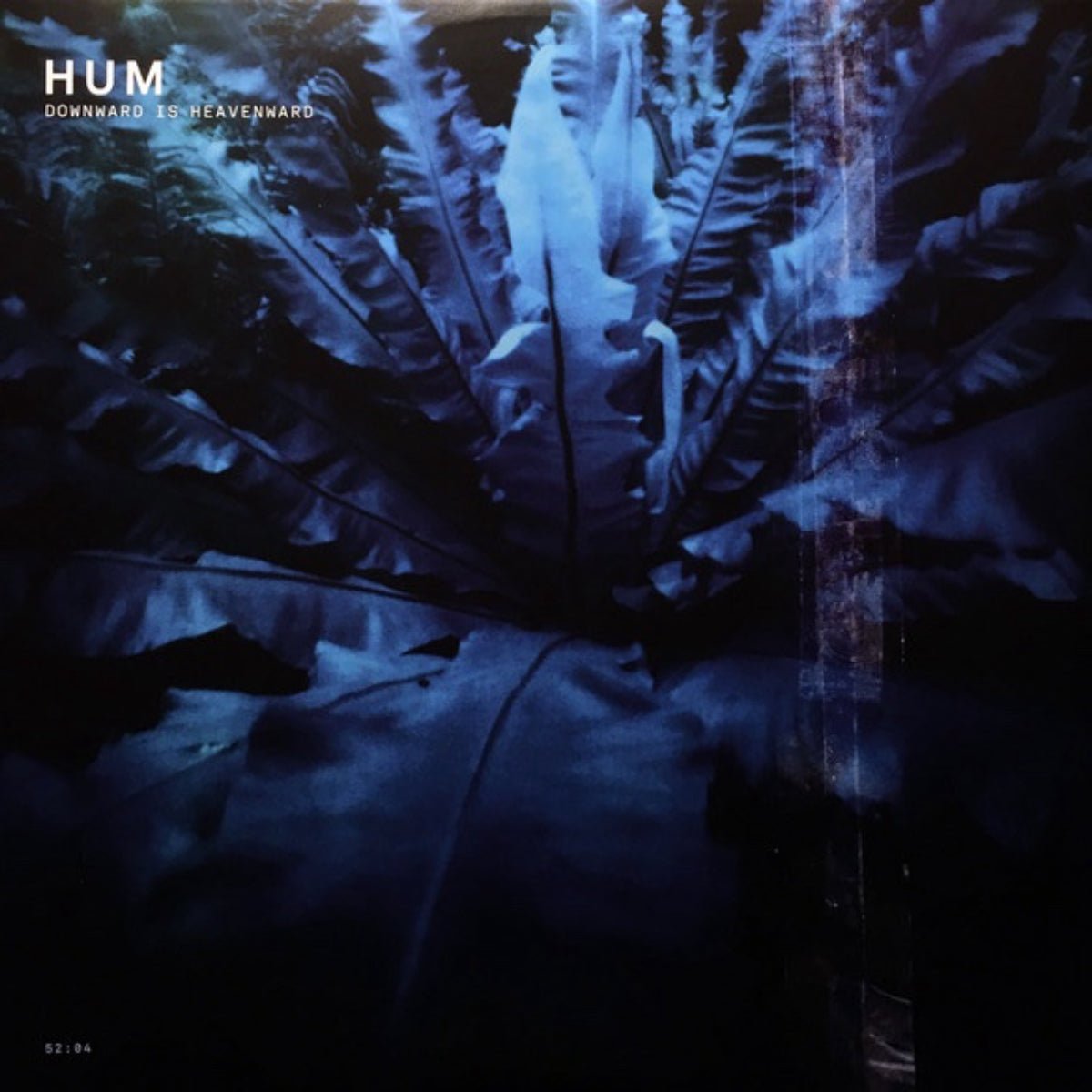 Hum: Downward is Heavenward: 2LP 180g Vinyl