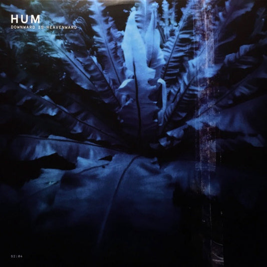 Hum: Downward is Heavenward: 2LP 180g Vinyl