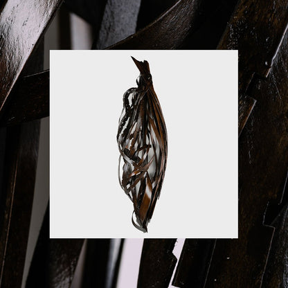 Into It. Over It: Interesting Decisions: Black Vinyl LP w/Die Cut Jacket (Import)