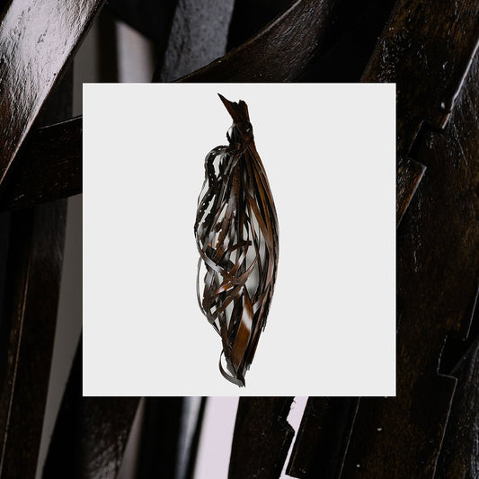 Into It. Over It: Interesting Decisions: Black Vinyl LP w/Die Cut Jacket (Import)