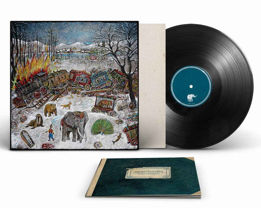 mewithoutYou: Ten Stories: Black Vinyl LP
