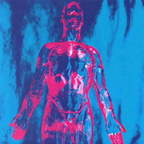 Nirvana: Sliver b/w Dive 7" Vinyl