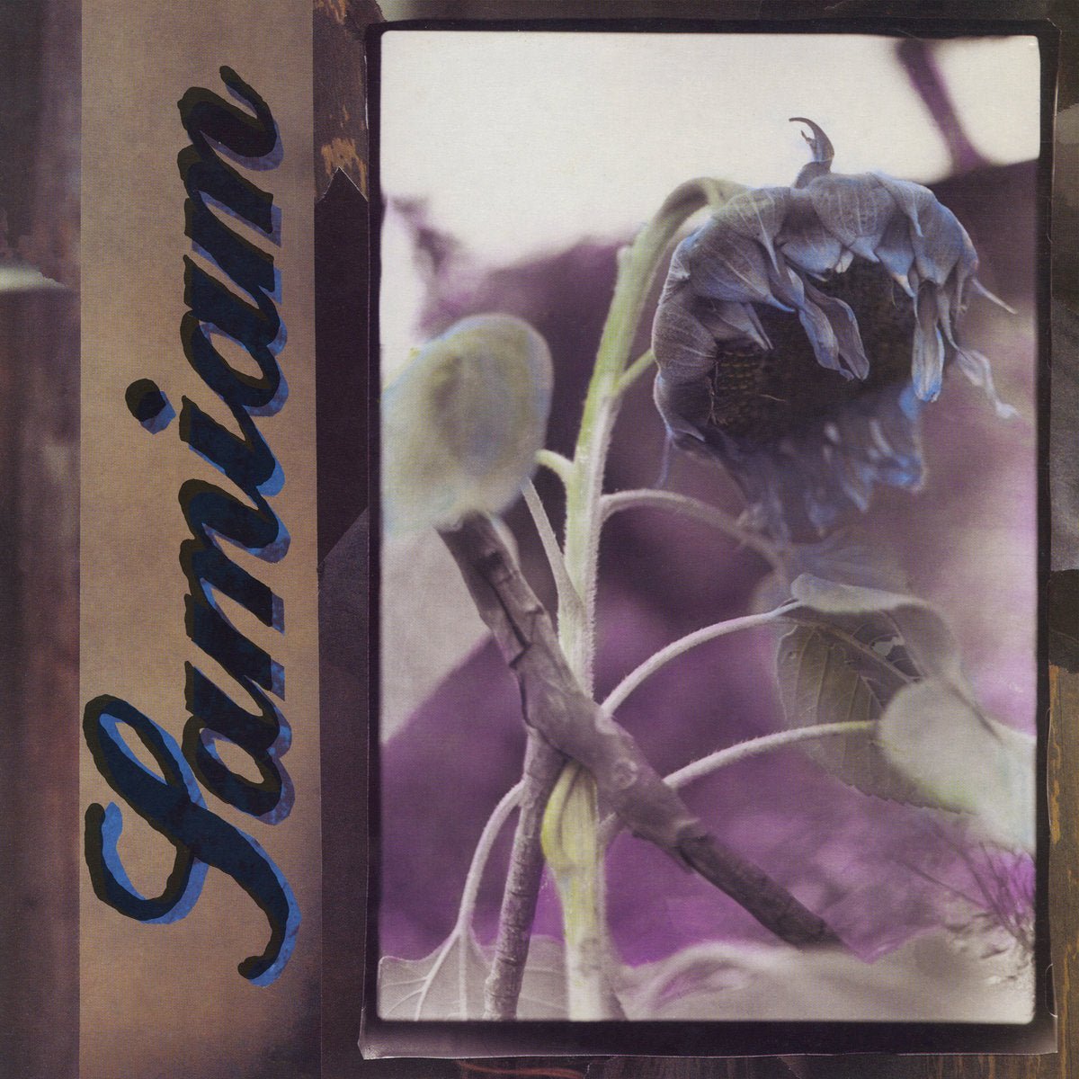 Samiam: (self-titled): Clear Vinyl
