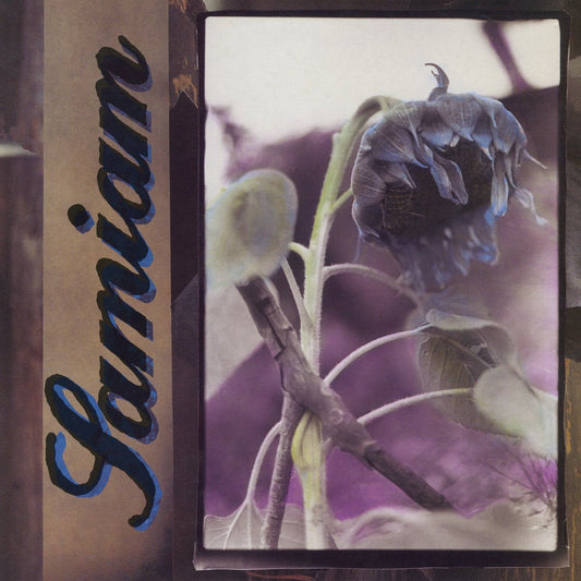 Samiam: (self-titled): Clear Vinyl