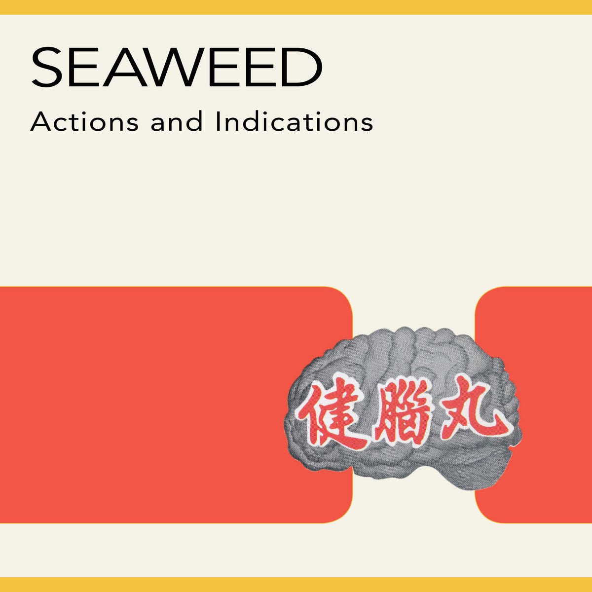 Seaweed: Actions and Indications: Black Vinyl LP