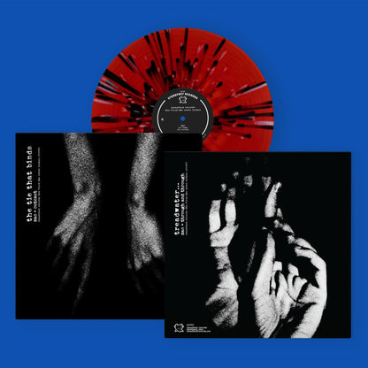 Steadfast Records: The First Two Seven Inches: Vinyl LP: Second Pressing