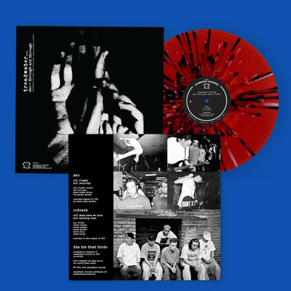 Steadfast Records: The First Two Seven Inches: Vinyl LP: Second Pressing