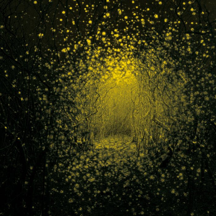 The Antlers: Burst Apart: Lemondade Vinyl LP - Steadfast Records