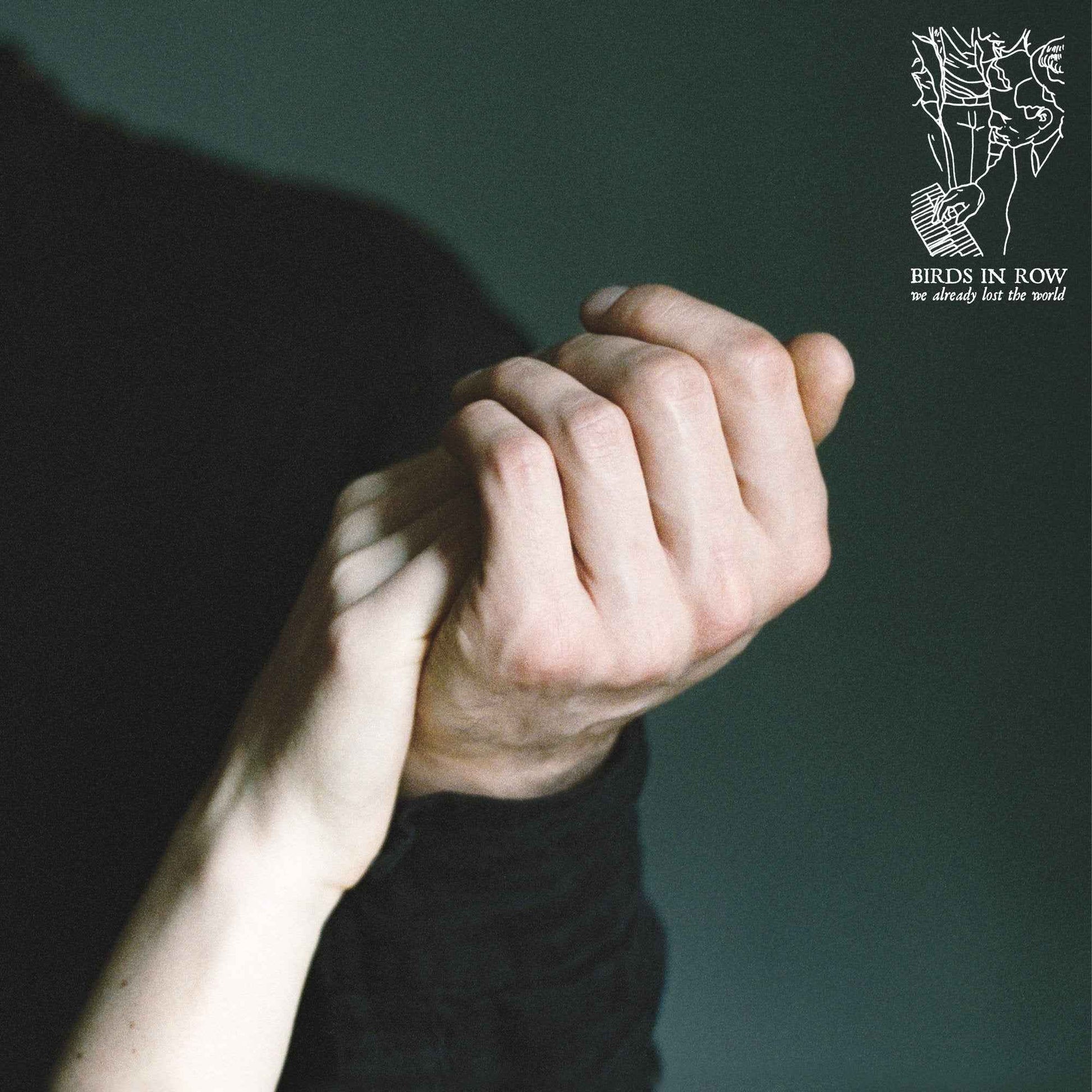 Birds in Row: We Already Lost the World: Mint Vinyl