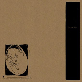 Boysetsfire: This Crying, This Screaming, My Voice Is Being Born: Deluxe Edition - Steadfast Records