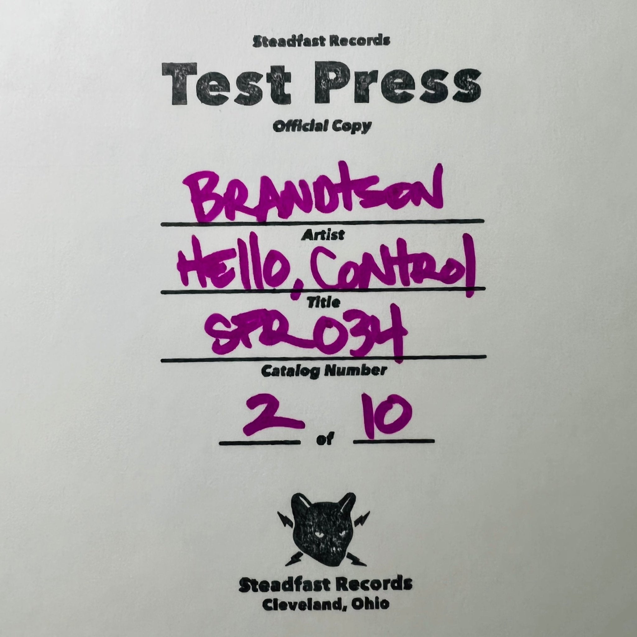 Brandtson: Hello, Control: Vinyl - Steadfast Records