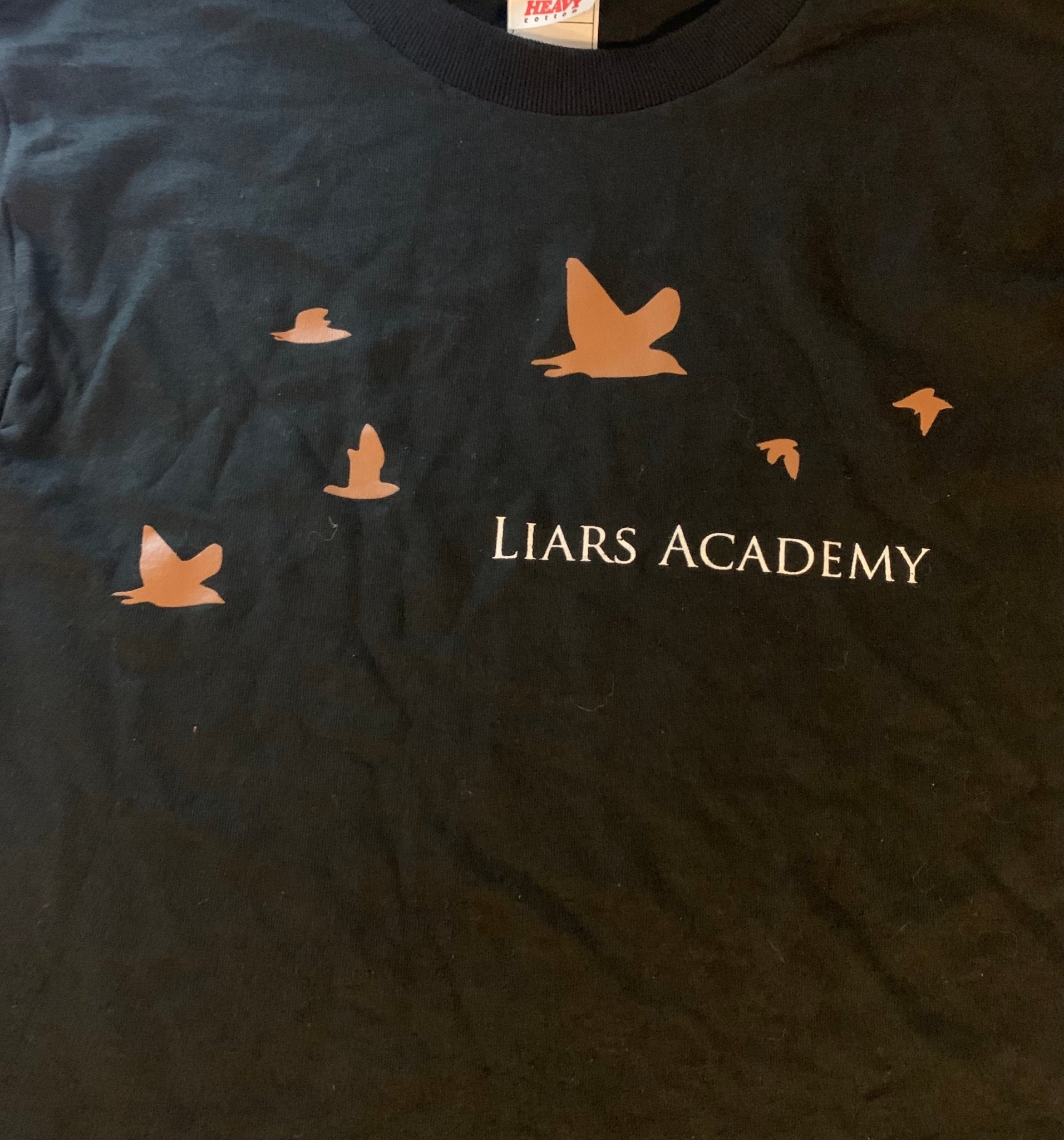 Liars Academy: Birds (Demons) T-Shirt (S or M) - Steadfast Records