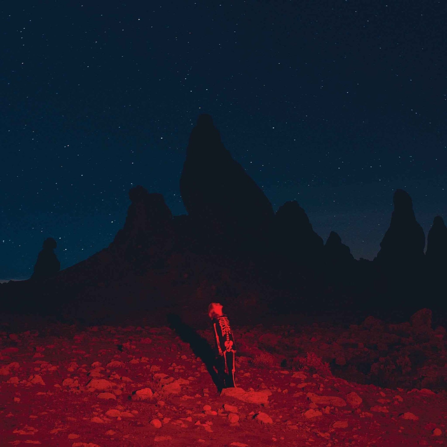 Phoebe Bridgers: Punisher LP - Black Vinyl